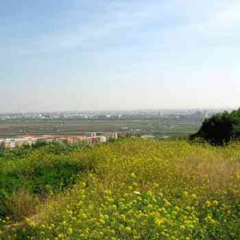 Click para ampliar. Pulsa en el nombre para ver la ficha. Carambolo 04_La Vega desde El Carambolo